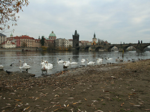 328354 (a): :1024x768
